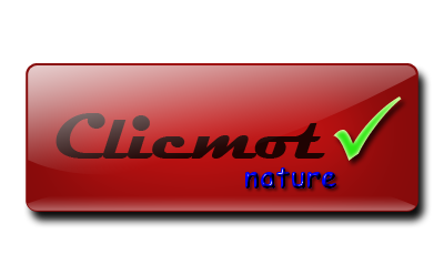 clicmot