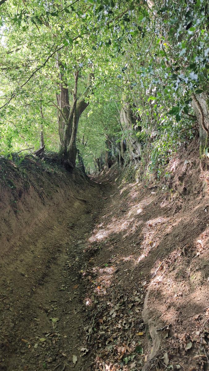 Joli chemin creux typiquement normand