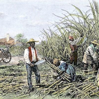 Plantation coloniale
