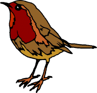 bird