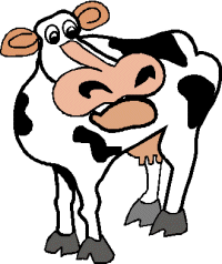 cow