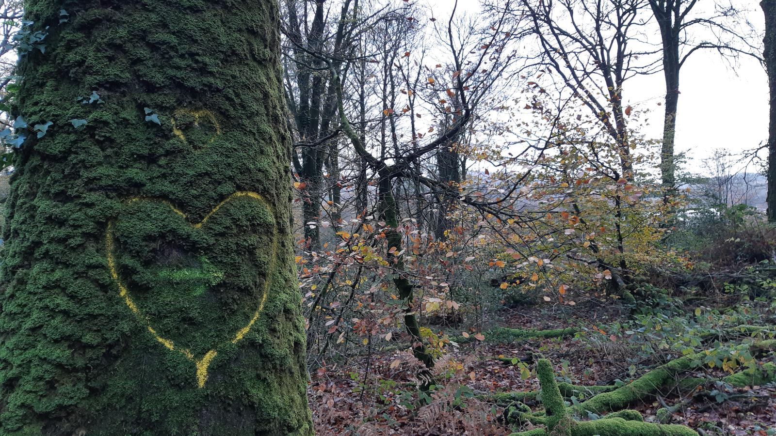 Arbre à coeur