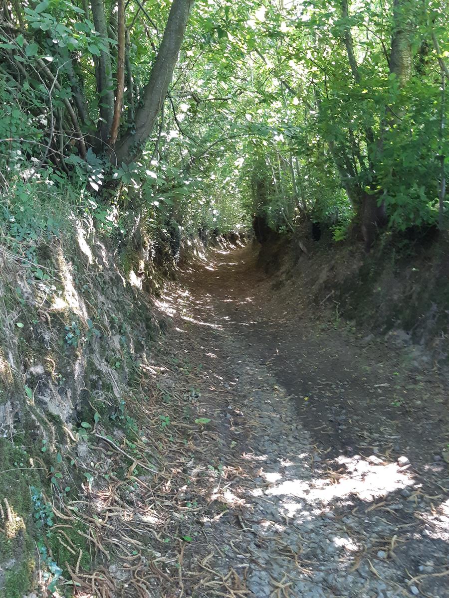 Chemin creux