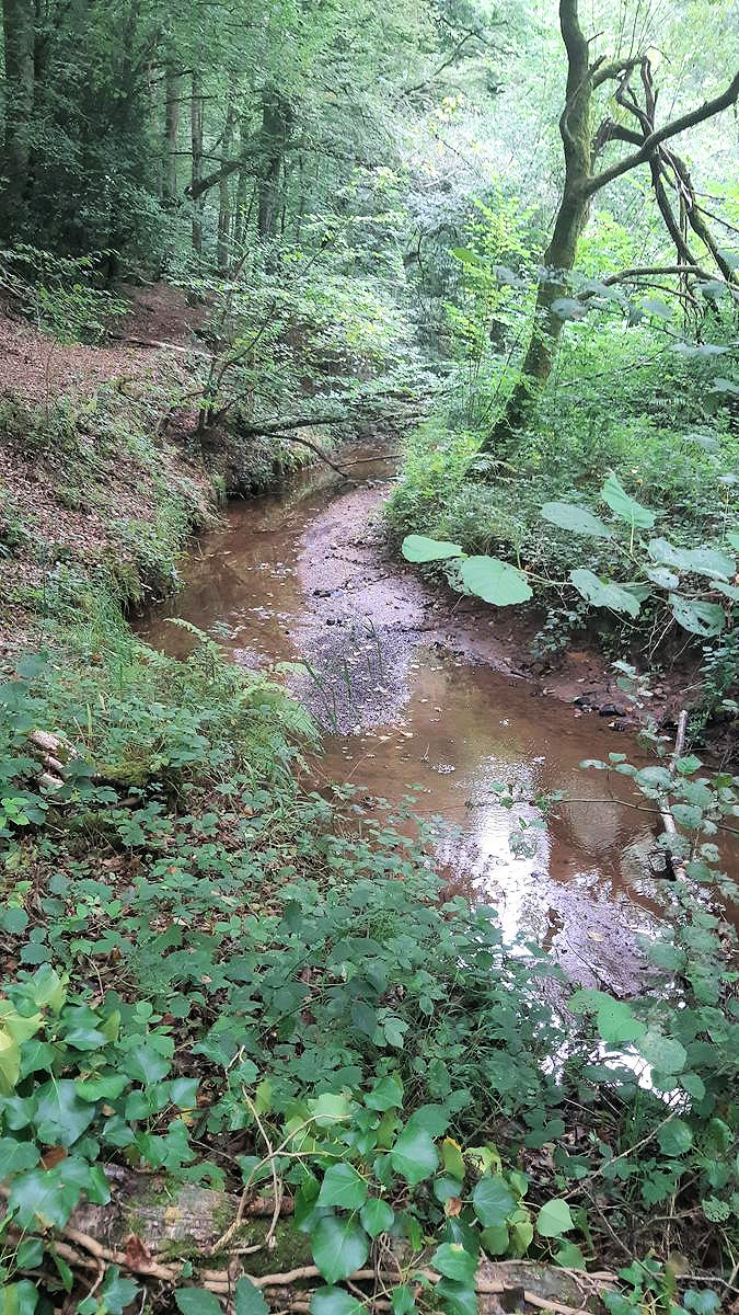 Ruisseau