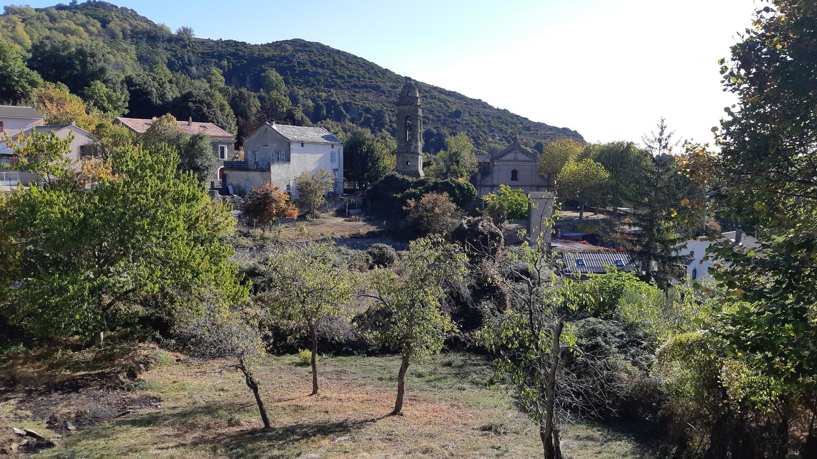 Scolca