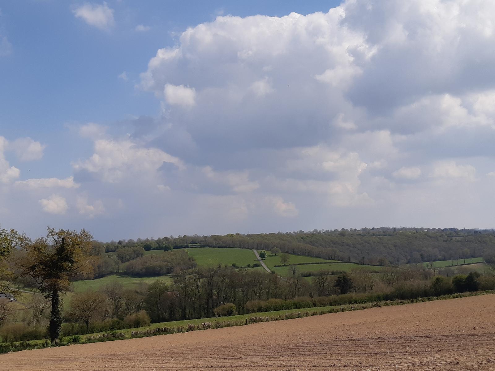 Paysage vers Hambye