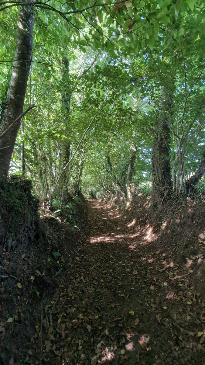 Le chemin des loups