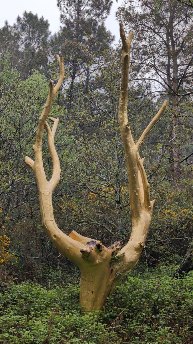 L'arbre d'or